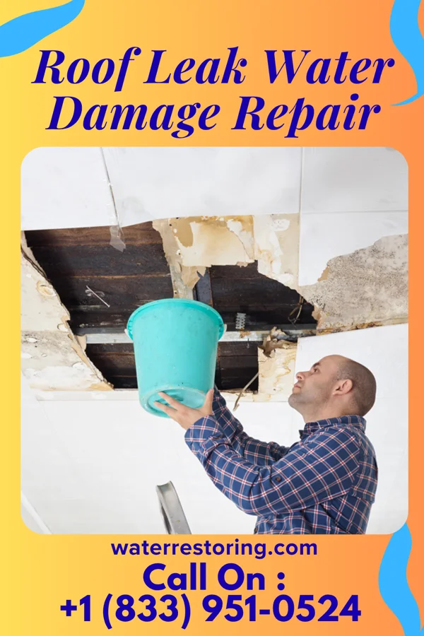 Roof Leak Water Damage Repair in Sour John, OK
